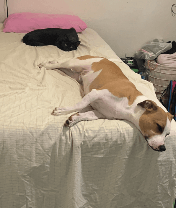 Bareearth Sheets user John G.